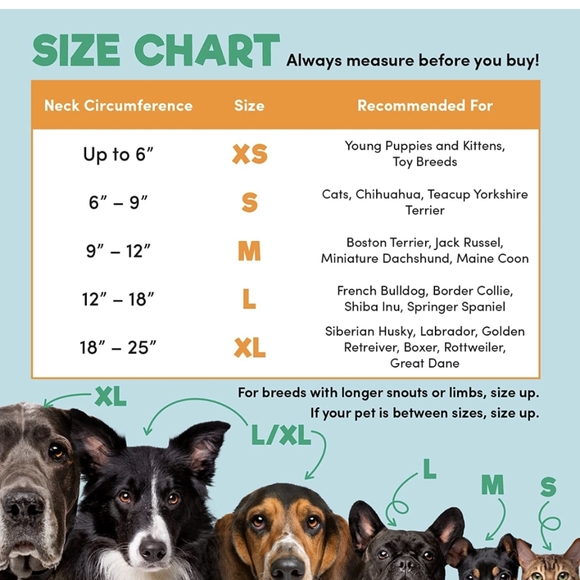 🔥4/$15 BENCMATE INFLATABLE RECOVERY DOG COLLAR PROTECTIVE CONE M - L - XL - Picture 5 of 10